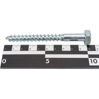 Сантехнический болт Стройбат оцинкованный DIN 571 10х100 15 шт 555