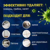 Средство от плесени Goodhim 8в1 AP 650 - 0,5 ТРИГЕР 77