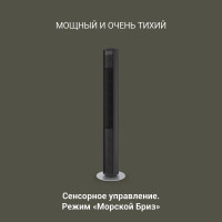 Колонный вентилятор Stadler Form Peter black P-013