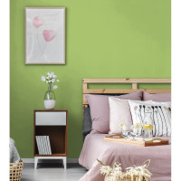 Краска PRIMALEX Inspiro Оливковый 420118