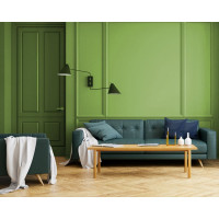 Краска PRIMALEX Inspiro Оливковый 420118