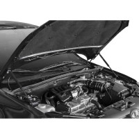 Газовые упоры капота АвтоУпор для Lada Granta 2011-2018/Kalina II 2013-2018, 2 шт ULAKAL/GRA012