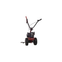 Сенокосилка Eurosystems BILAMA M210 B&S 625EXi Series 965164700