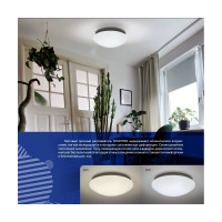 Потолочный светодиодный светильник Lumin'arte 12Вт, 960 Лм, 26084 мм, 6000К Холодный свет, освещает 8 м² C06LLW12W