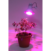Светодиодная фито-лампа ЭРА FITO-16W-RB-E27-K Б0039072