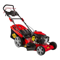 Бензиновая газонокосилка DDE LM 53-70 DE 791-943