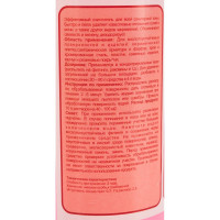 Очиститель кислотный PROSAN PLUS (1 л) для туалетных и ванных комнат Pramol 2533.201