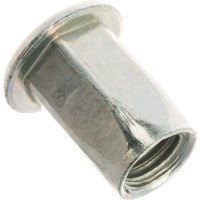 Заклепка с внутренней резьбой Bralo 6-гранная М10 СТ-ЦБ 150 шт 0311101013