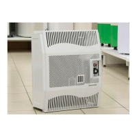 Газовый настенный конвектор Hosseven HDU-3V Fan