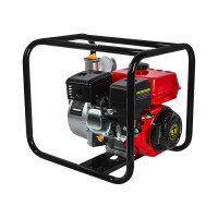 Бензиновая мотопомпа DDE PN81