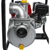 Бензиновая мотопомпа DDE PN81
