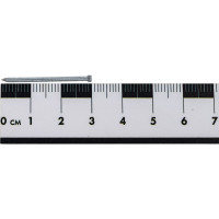 Финишные гвозди Крепежная техника 1,6х30 Цинк 500г (примерно 1000 шт.)  пакет 492404 БК