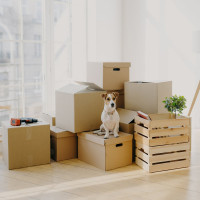 Упаковочная клейкая лента AVIORA 50 мм, 66 м, 50 мкм 301-001