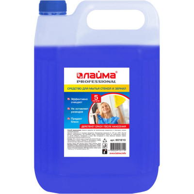 Средство для мытья стекол и зеркал LAIMA 5 л, PROFESSIONAL, 601610