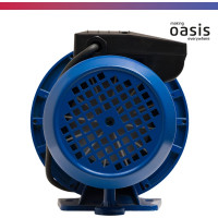 Поверхностный насос OASIS PV 60/37С