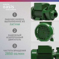 Поверхностный вихревой насос OASIS P-370V