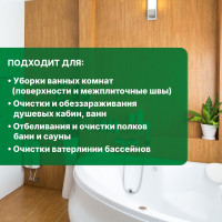 Концентрат (1:30) PROSEPT BT Bath Fungi + для удаления плесени с дезинфицирующим эффектом 5л 903BT-5 / 112-5