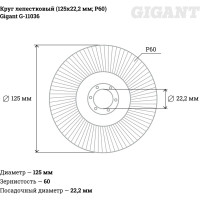 Gigant Круг лепестковый 125x22,2 P60 G-11036