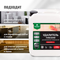 Удалитель плесени PROSEPT FUNGI CLEAN концентрат 1:1, 5 л  019-5