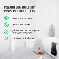 Удалитель плесени FUNGI CLEAN (готовый состав) 0.5 л PROSEPT 019-05