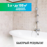 Удалитель плесени PROSEPT FUNGI CLEAN концентрат 1:1, 5 л  019-5