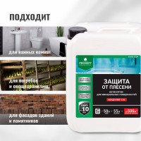 Защита от плесени PROSEPT FUNGI STOP - концентрат 1:10, 5 л, 018-5