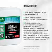 Защита от плесени PROSEPT FUNGI STOP - концентрат 1:10, 5 л, 018-5