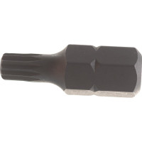 Бита (SPLINE; 10 мм; М6; 30 мм) Jonnesway D10M30M06A