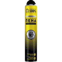 Монтажная пистолетная всесезонная бытовая пена Ремонт на 100% RPFWJ00021