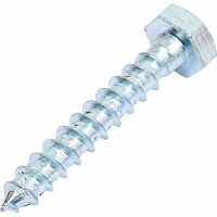 Сантехнический болт DIN 571 оцинкованный 10х60, 2шт - пакет Tech-Krep/Zitar 103881