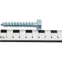 Сантехнический болт DIN 571 оцинкованный 10х60, 2шт - пакет Tech-Krep/Zitar 103881