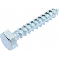 Сантехнический болт DIN 571 оцинкованный 10х60, 2шт - пакет Tech-Krep/Zitar 103881