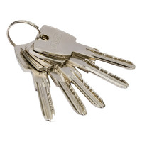 Цилиндровый механизм ABUS KD6N Z45/K55KD W/5 LONG KEY 26647