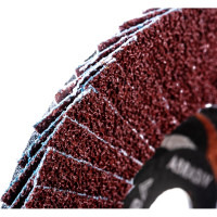 Круг лепестковый торцевой плоский КЛТ1 (125х22 мм; А 36; 14А 50/Р36) Луга 4603347338001