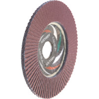 Круг лепестковый торцевой плоский КЛТ1 (125х22 мм; А120; 14А 12/Р120) Луга 4603347337943