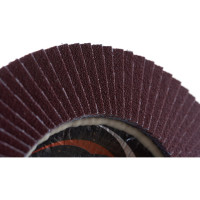 Круг лепестковый торцевой плоский КЛТ1 (125х22 мм; А120; 14А 12/Р120) Луга 4603347337943