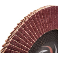 Круг лепестковый торцевой плоский КЛТ1 (180х22 мм; А 60; 14А 25/Р60) Луга 4603347276563