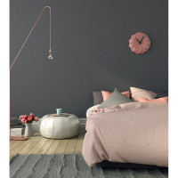 Краска PRIMALEX Inspiro Атласный Графит 420176