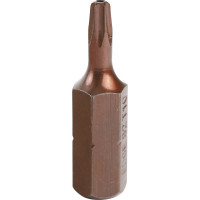 Бита (2 шт; T10; 25 мм) PATRIOT 818010017