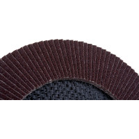 Круг лепестковый торцевой КЛТ (180х22.23 мм; P80) EDGE by PATRIOT 819010015