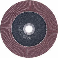 Круг лепестковый торцевой КЛТ (180х22.23 мм; P80) EDGE by PATRIOT 819010015