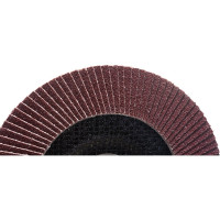 Круг лепестковый торцевой КЛТ (150х22.23 мм; P80) EDGE by PATRIOT 819010011