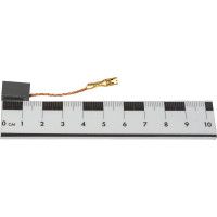 Графитовые щетки для WERT EAG 1012E 2 шт. Elitech 1805.072600