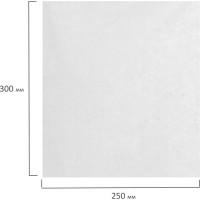 Одноразовые нестерильные салфетки ЧИСТОВЬЕ комплект 100 шт, 25x30 см, спанлейс, 40 г/кв.м, белые 00-146 630230
