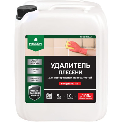 PROSEPT FUNGI CLEAN - удалитель плесени с минеральных поверхностей 5л. 019-5