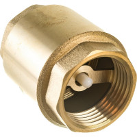 Обратный клапан FV-B 1" пласт клапан БЕЛАМОС