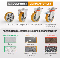 Колесо со стационарной опорой (100 мм; 250 кг) Tellure rota 658602