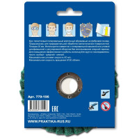 Круг лепестковый полировальный (125х22.2 мм; мягкий) ПРАКТИКА 779-196