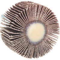 Круг лепестковый с оправкой (40х20 мм; P320) ПРАКТИКА 648-984