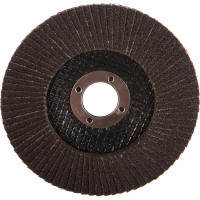 Круг лепестковый торцевой Profi 80 лепестков (125х22,2 мм; Р80) Cutop 70-12580